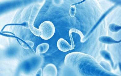[Giải đáp] Xuất tinh sớm có ảnh hưởng đến chất lượng tinh trùng?