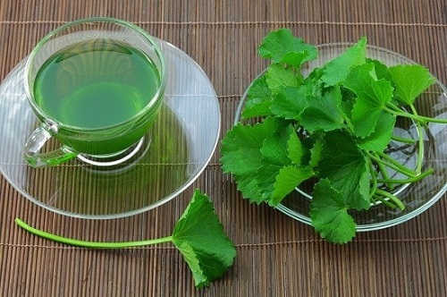 Uống trà rau má chữa bệnh trĩ