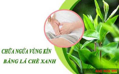 Tiết lộ phương pháp lá chè xanh chữa bệnh phụ khoa