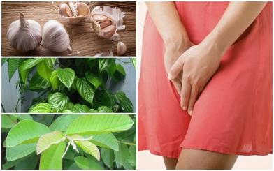Bật mí 5 cách chữa viêm phụ khoa bằng dân gian đơn giản tại nhà