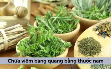 Tham khảo cách chữa viêm bàng quang bằng thuốc nam cực hiệu quả