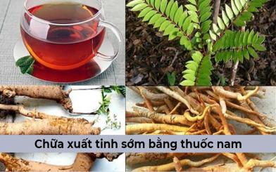 [Tổng hợp] 7+ Cách chữa xuất tinh sớm bằng thuốc nam đơn giản, nhanh chóng