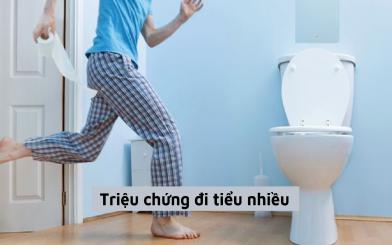 Triệu chứng đi tiểu nhiều xuất phát từ bệnh lý nào, làm thế nào để khắc phục hiệu quả?