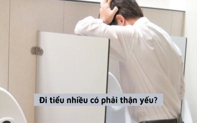 [Giải đáp] Đi tiểu nhiều có phải thận yếu hay bệnh gì? 