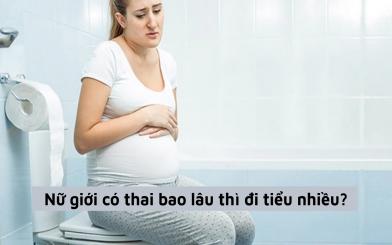 [Giải đáp] Nữ giới có thai bao lâu thì đi tiểu nhiều?