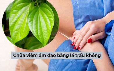 Chữa viêm âm đạo bằng lá trầu không liệu có hiệu quả như chị em vẫn nghĩ?