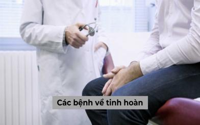 Tìm hiểu các bệnh về tinh hoàn và địa chỉ khám chữa uy tín