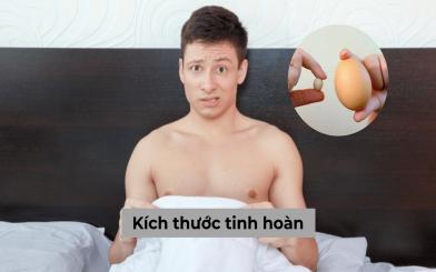 Nhận biết kích thước tinh hoàn bình thường, tinh hoàn như thế nào thì nguy hiểm?