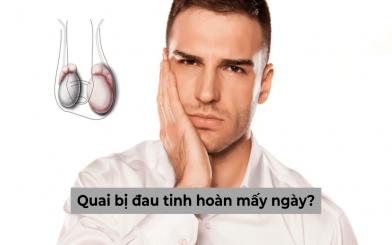 Quai bị đau tinh hoàn mấy ngày là bệnh lý gì?