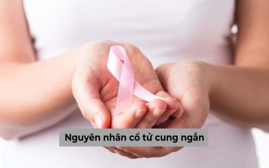 [Góc giải đáp] Nguyên nhân cổ tử cung ngắn ở nữ giới?