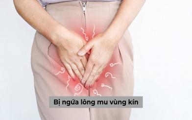 Bị ngứa lông mu vùng kín và những thông tin bạn không nên bỏ qua