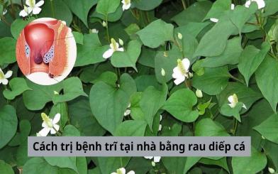 5 Cách trị bệnh trĩ tại nhà bằng rau diếp cá và lưu ý khi sử dụng