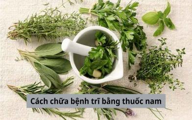 Cách chữa bệnh trĩ bằng thuốc nam như thế nào? Có nên áp dụng không?