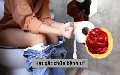 Hạt gấc chữa bệnh trĩ - Mẹo chữa dân gian hiệu quả