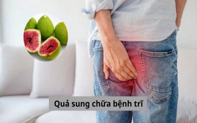 Có hiệu quả hay không khi dùng quả sung chữa bệnh trĩ?