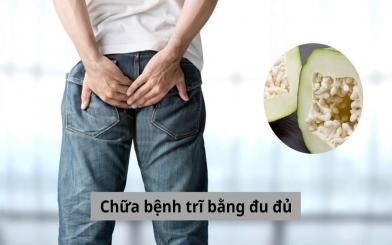 Cùng chuyên gia hiểu rõ hơn về cách chữa bệnh trĩ bằng đu đủ