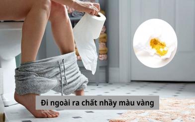 Đi ngoài ra chất nhầy màu vàng: Nguyên nhân, chẩn đoán và cách điều trị