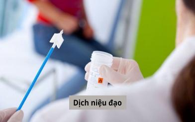 Dịch niệu đạo và những căn bệnh phổ biến liên quan đến dịch niệu đạo