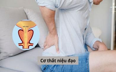 Cơ thắt niệu đạo và những thông tin cần biết