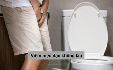 Lý giải: Viêm niệu đạo không lậu có đáng lo ngại không?