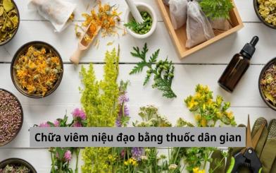 Chữa viêm niệu đạo bằng thuốc dân gian: Áp dụng đúng cách để mang lại hiệu quả