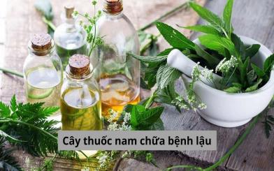 Cây thuốc nam chữa bệnh lậu - có nên hay không?