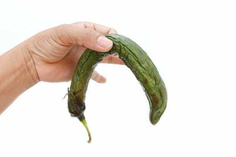 Bài thuốc chữa liệt dương ở người cao tuổi có tốt không?
