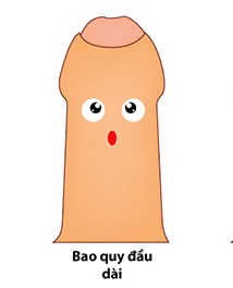 Bao quy đầu dài