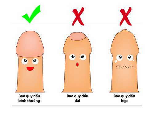 Bao quy đầu là gì?