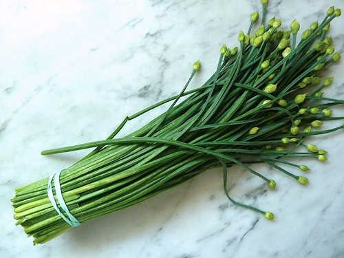 Cách chữa bệnh liệt dương bằng hạt hẹ