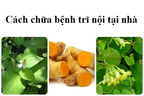 Bệnh trĩ nội độ 2 có nguy hiểm không, không chữa trị có sao không