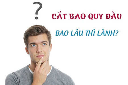  Cắt bao quy đầu bao lâu thì hết sưng?
