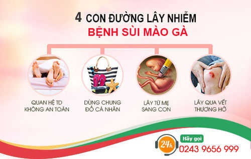 Các con đường lây nhiễm