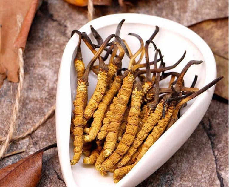 Đông trùng hạ thảo