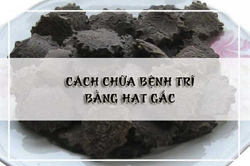 Cách chữa bệnh trĩ bằng hạt gấc