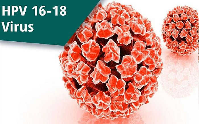 HPV là gì? Có bao nhiêu chủng (Type) loại?