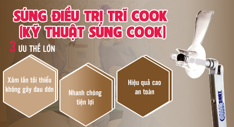 Kỹ thuật súng cook