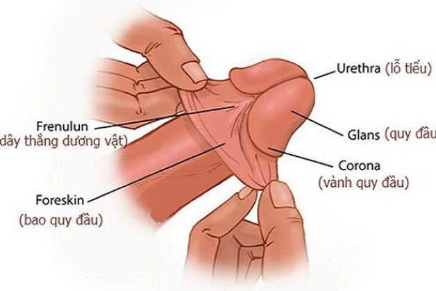 Mất cảm giác sau cắt bao quy đầu