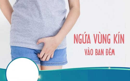 Hình ảnh ngứa vùng kín về đêm 