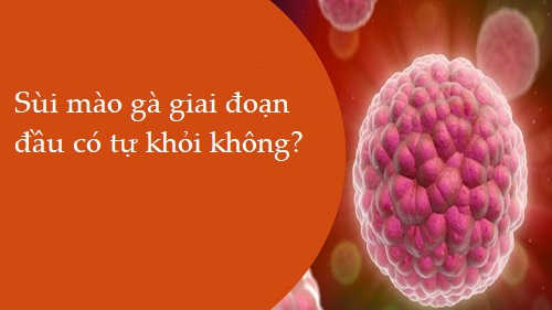 Bệnh sùi mào gà giai đoạn đầu có tự khỏi được không?