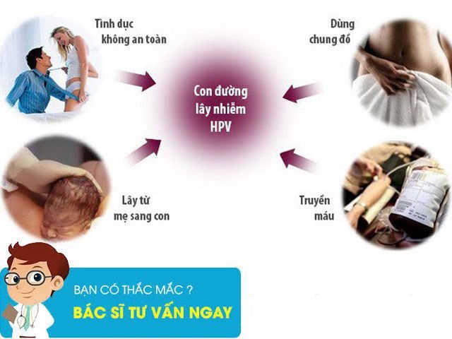 Sùi mào gà lây qua đường nào