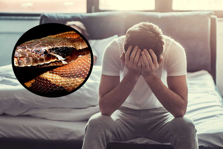 Tác dụng của cao trăn đối với đàn ông là gì?