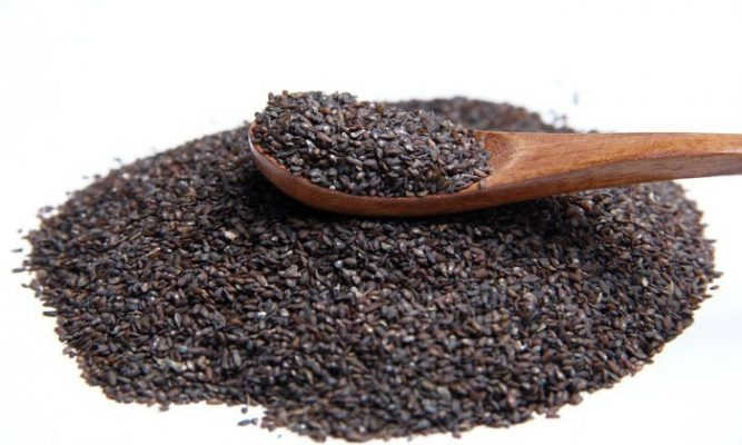 Thuốc chữa bệnh liệt dương hiệu quả nhất – Trạch tả, xa tiền tử