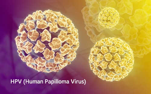 Virus sùi mào gà sống bao lâu trong môi trường tự nhiên