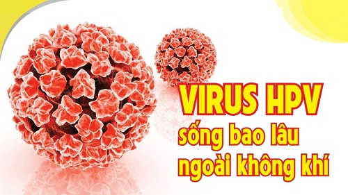 Virus sùi mào gà sống bao lâu trong môi trường không khí