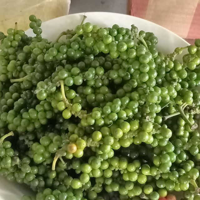 Xông vùng kín bằng than và bần hạt tiêu xanh